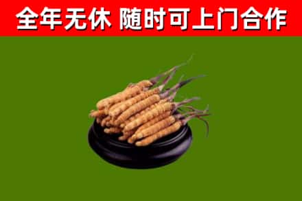 兴文县烟酒回收冬虫夏草.jpg