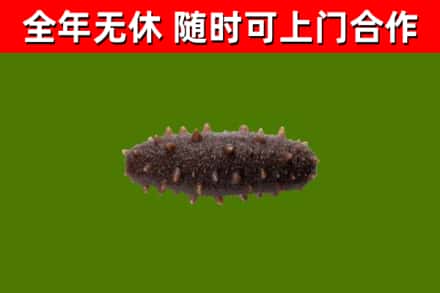 兴文县烟酒回收干海参.jpg